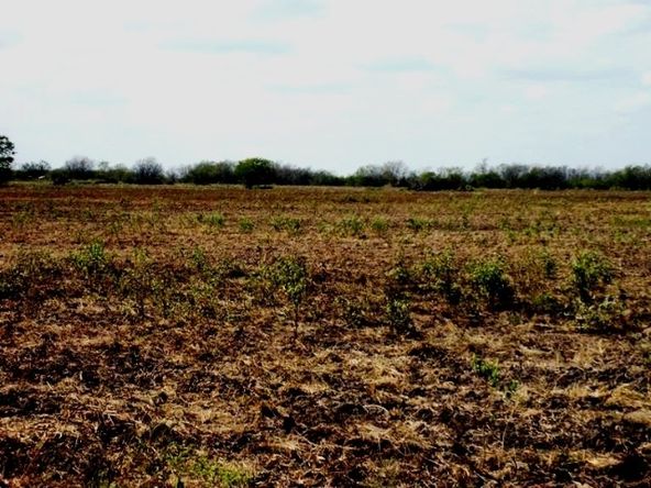 00 Hwy 34, Terrell, TX 75160
